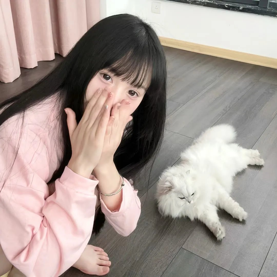 蝙蝠侠：哥谭骑士